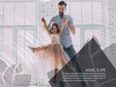 Ses Kontrol sistemleri